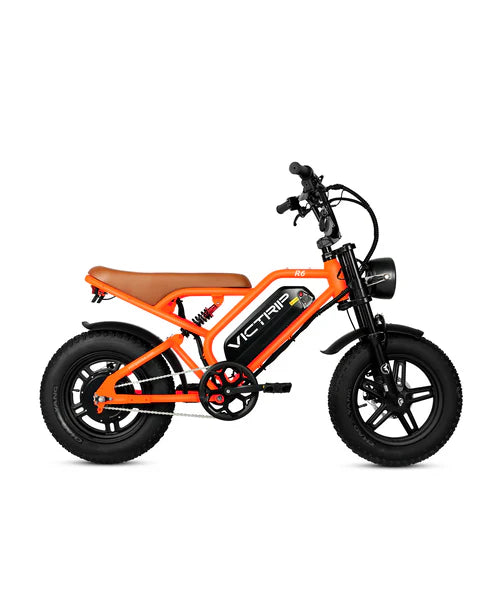VICTRIP®R6 Off Road Ebike