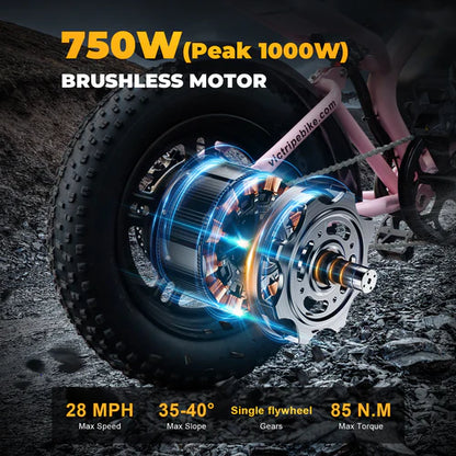 VICTRIP®R6   Off   Road   Ebike