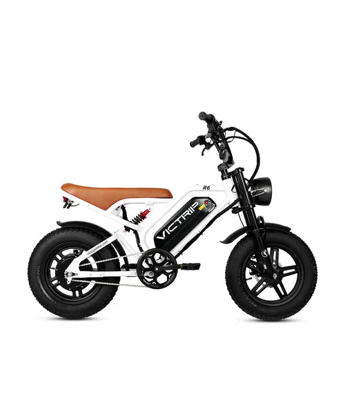 VICTRIP®R6   Off   Road   Ebike