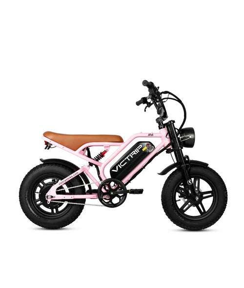 VICTRIP®R6   Off   Road   Ebike